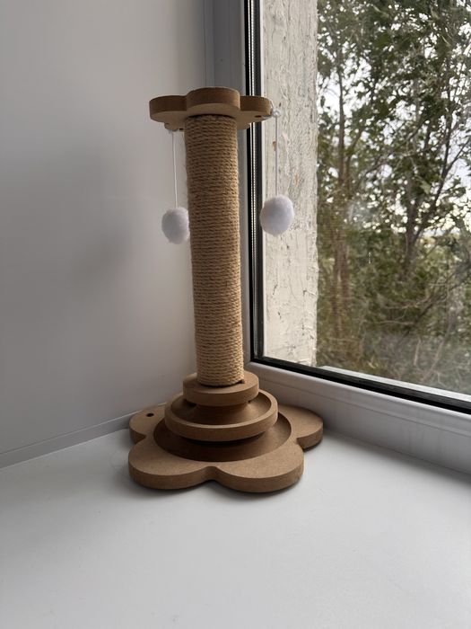 Передержка для кошек