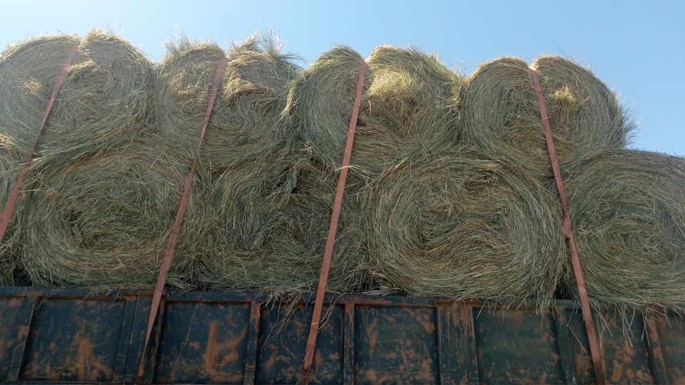 Продам рулоны сено разнотравье