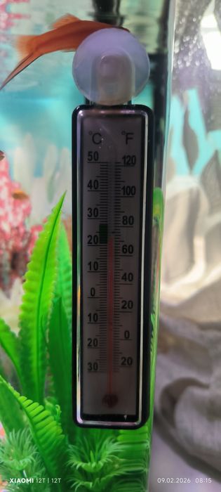 Аквариум в полном комплекте с рыбками