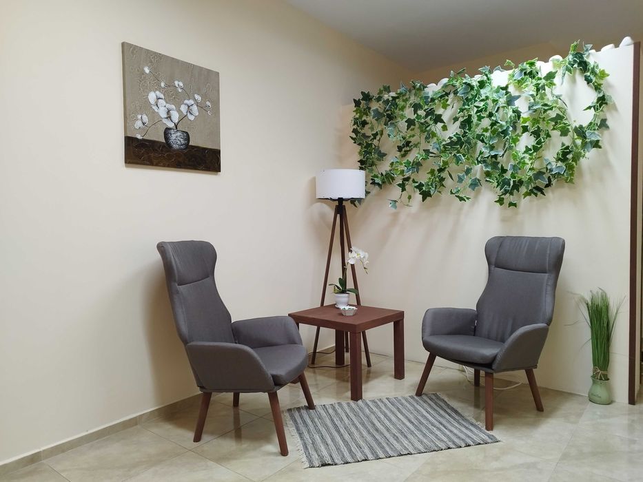 Релакс стол цвят  2 бр