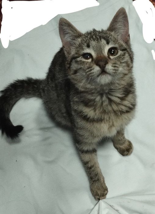 Крошка ищет свою семью!