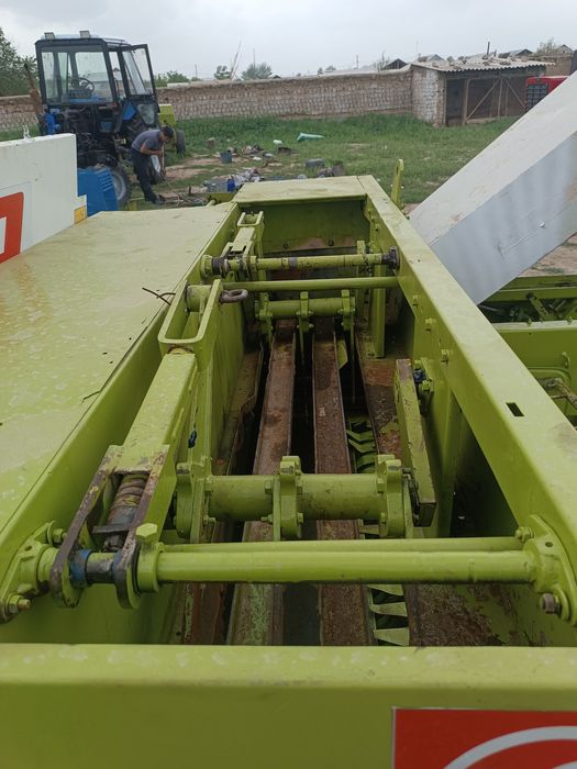 Class markant 65 podborshigi