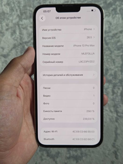 iPhone 13 pro max 256GB