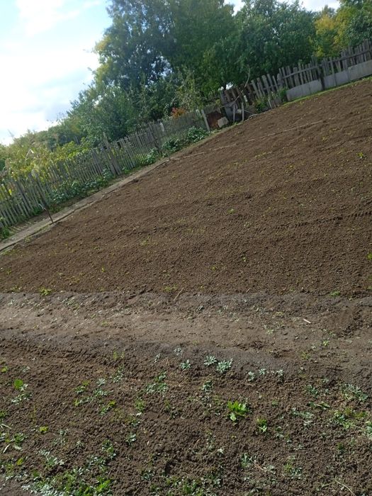 продам дачу сад Южный