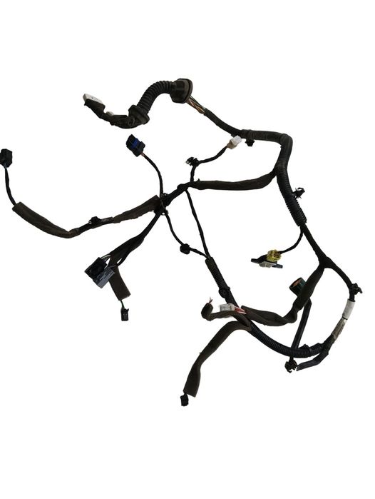 Instalatie Electrica Usa Dreapta Fata Renault Koleos Ii 2016 - >