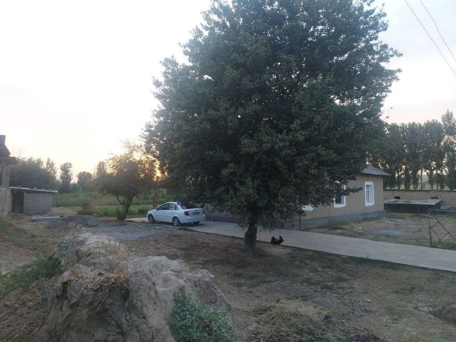 Уй сотилади, катта участка, ховли.