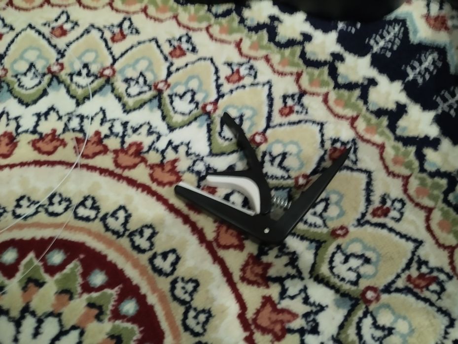 Укулеле сатамын алғанға 1 апта болды