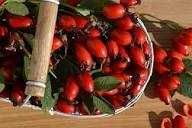 Продам шиповник плоды