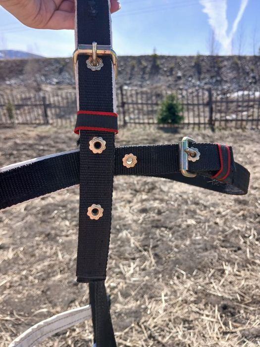 Уздечка для лошадей