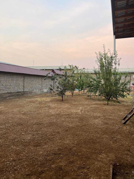 Зангиота район, Победада 5,7 соток ер