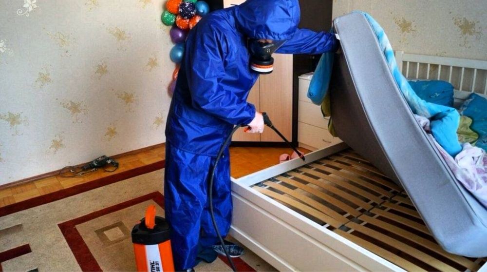 Дезенфекция дизенсекция дератиция клоп таракан dizinfeksiy 20% скидка