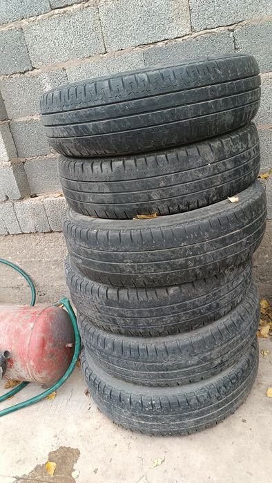 Газел  келысым бар