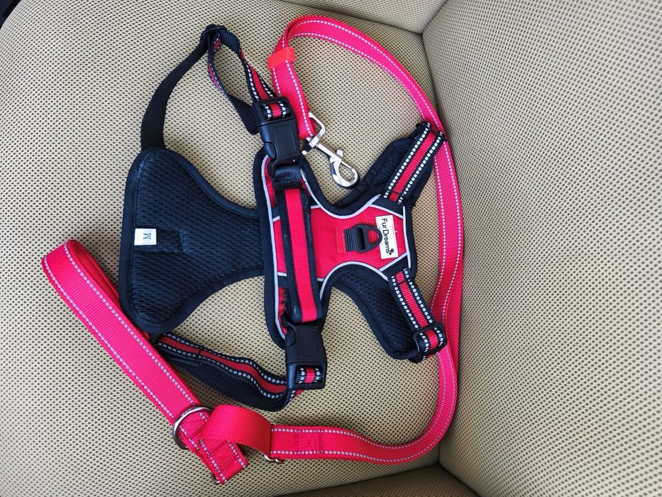 Ham cu lesă pentru câine