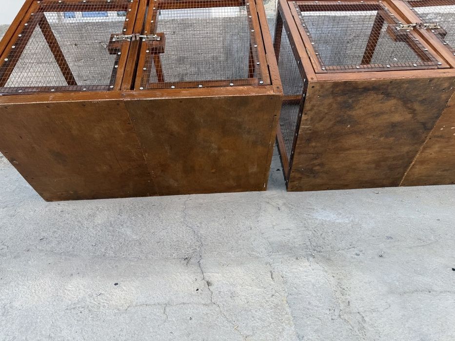 Клетка (кушлар учун)