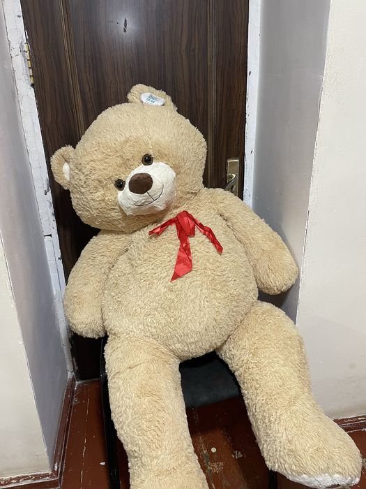 Yumshoq ayiq(teddy bear) aksiyada