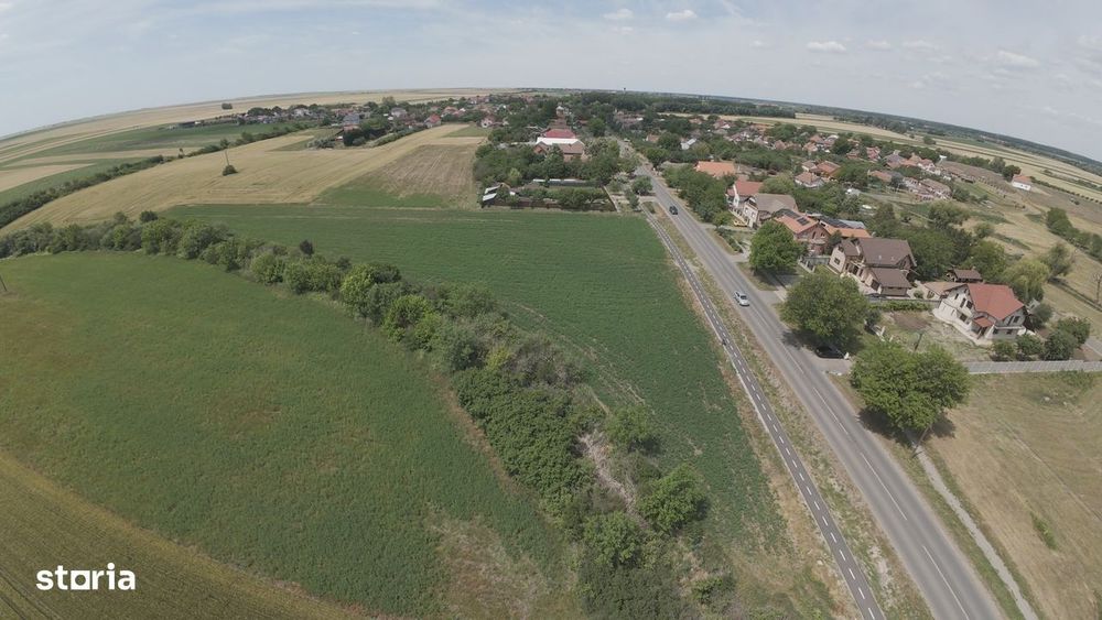 Teren intravilan Zadareni-Bodrogul Nou 8000mp / 141m front - Sosea