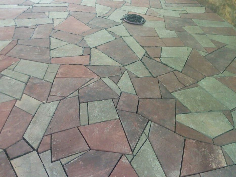 Плитняк разных видов