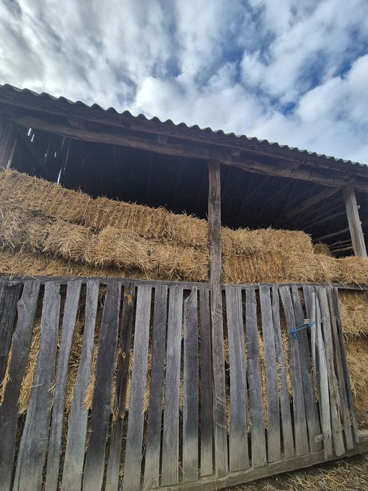 Balotii de paie 2025