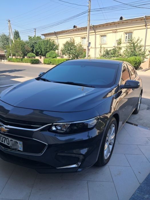 Malibu 2.4 atmasferni  kraska100% toza