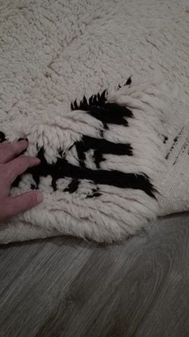 Истински китеник. Нов