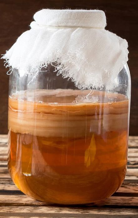 Полезный чайный гриб