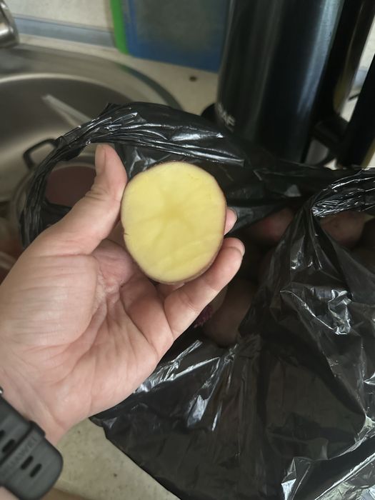 Продам дачный картофель