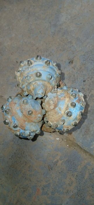 Долото боровое..