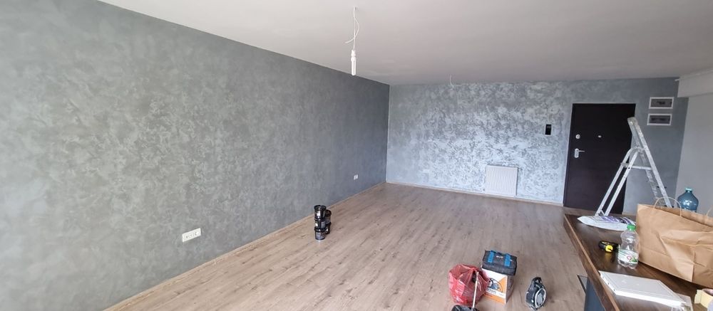 Echipa de zugravi cu experienta