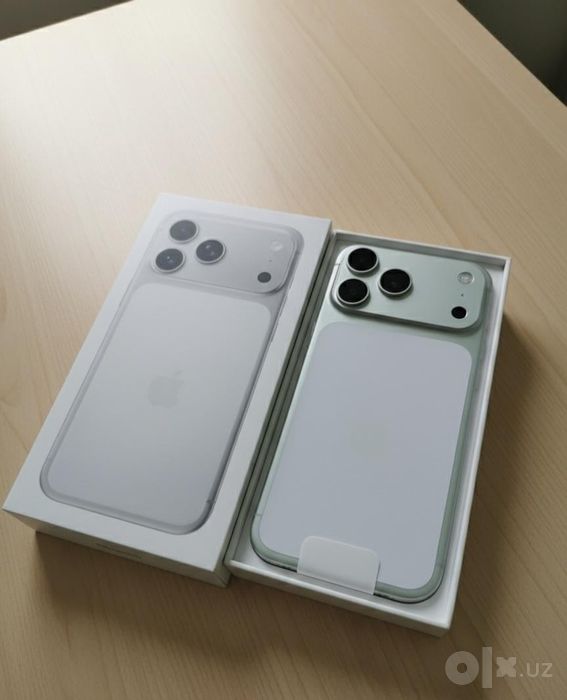 17 pro max Silver