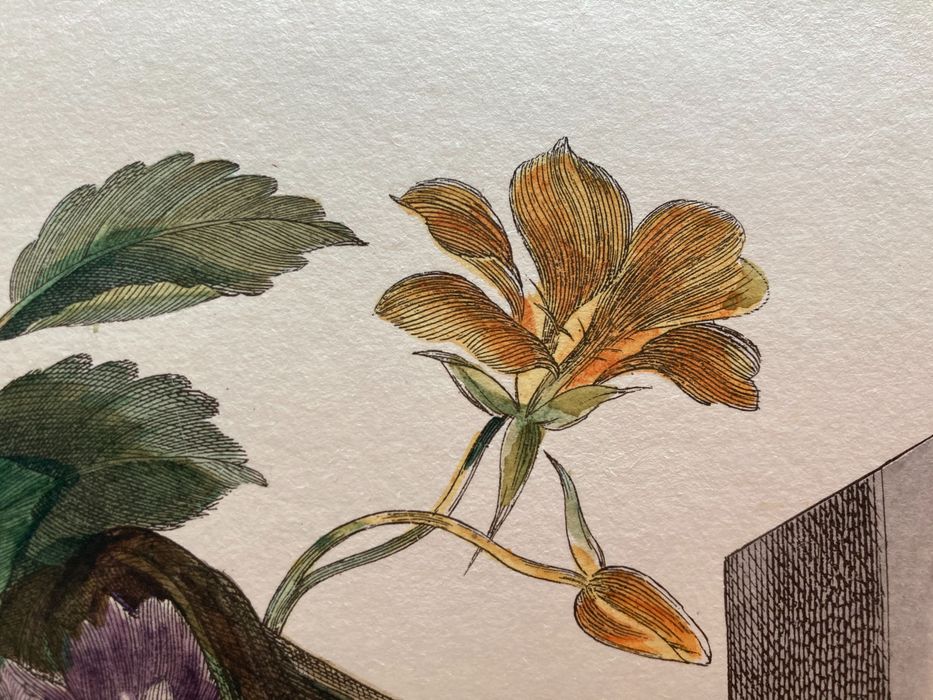 Френска литография 18 век