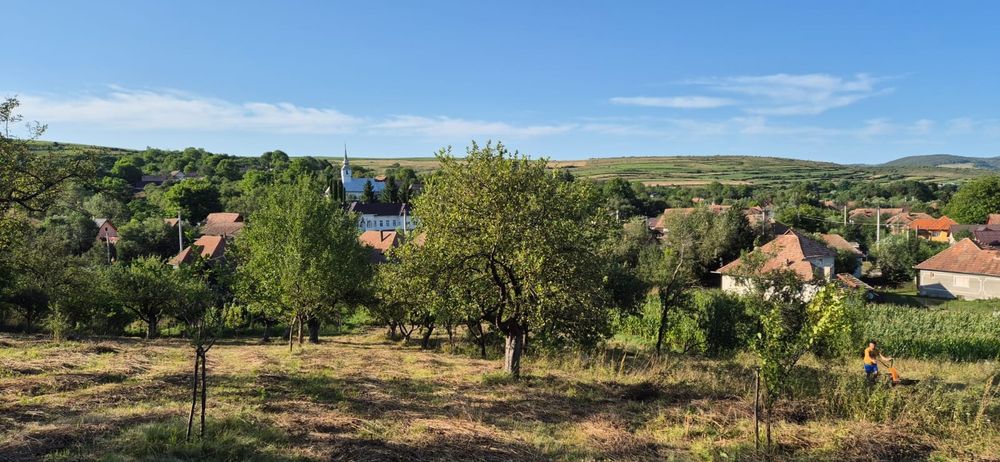 Vind casa Filea de Jos , teren suprafata 1800mp