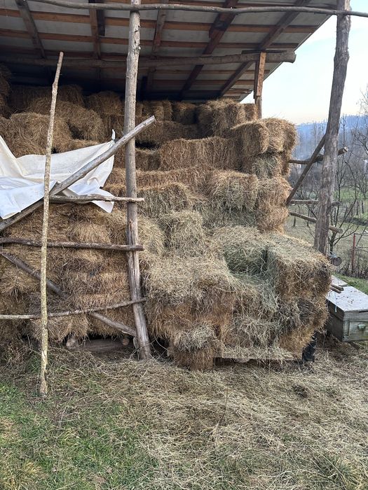 Baloti fan otava calitate