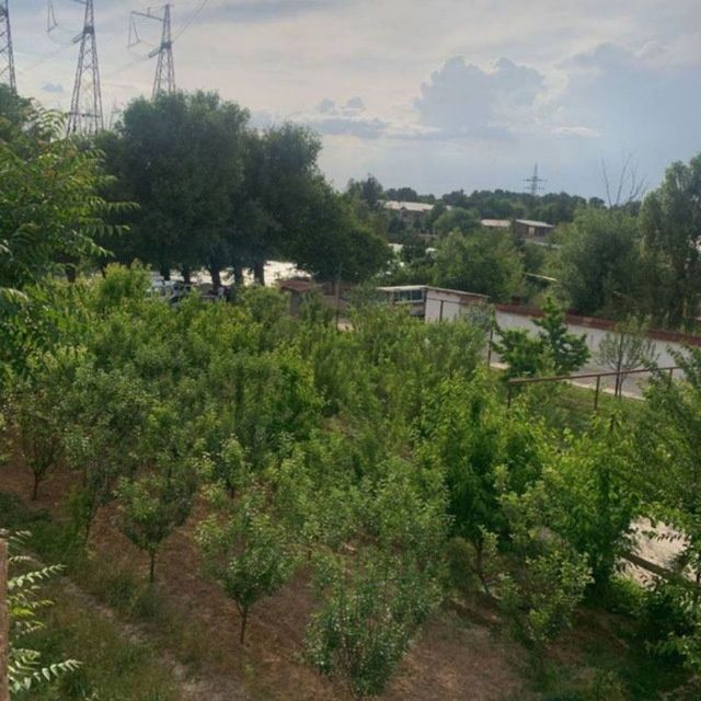 Ховли 2 этаж кота суви бойида