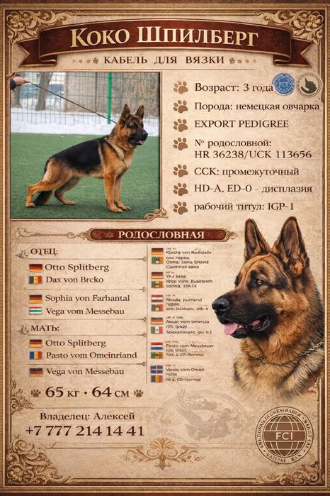 Вязка с элитным кобелем