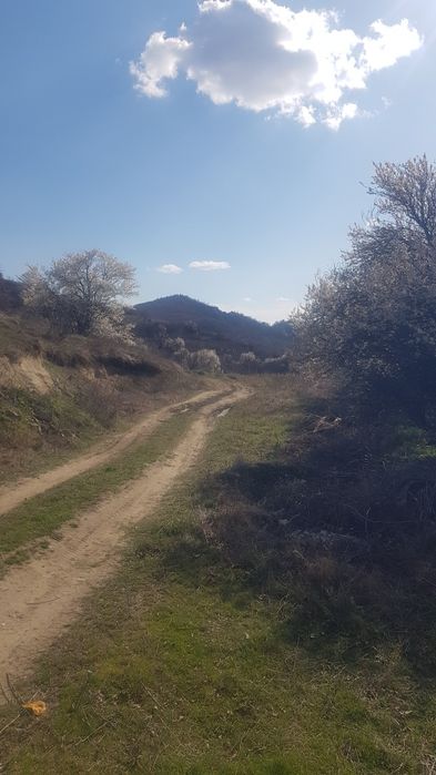 Продава се Парцел в Дупница - 1050 кв.м за 12 €/кв.м - Снимка #4