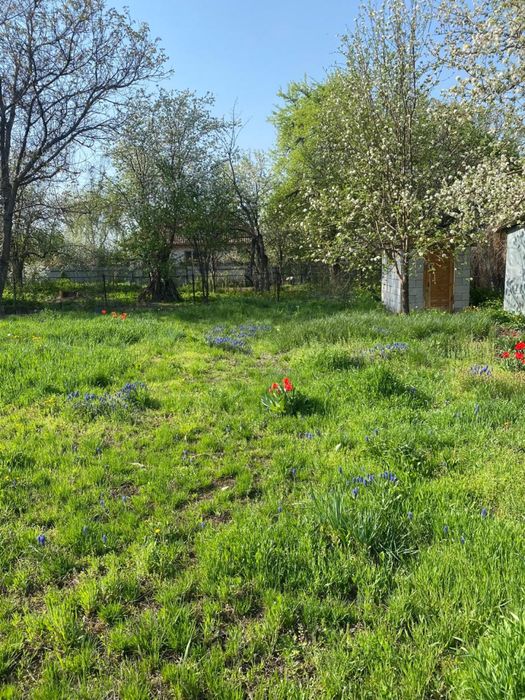 земельный участок