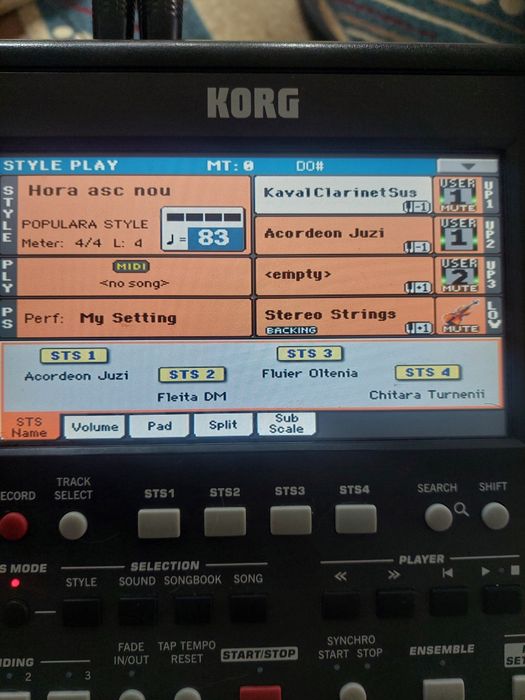 Korg PA 600 folosit în casă