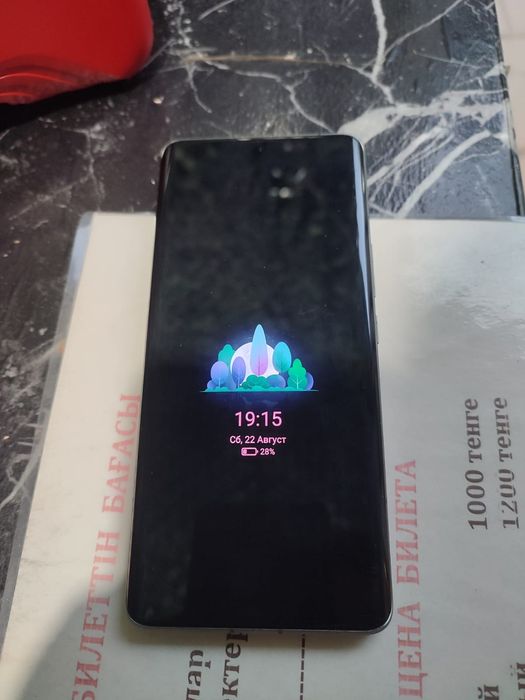 Xiaomi 13 ultra 12/256