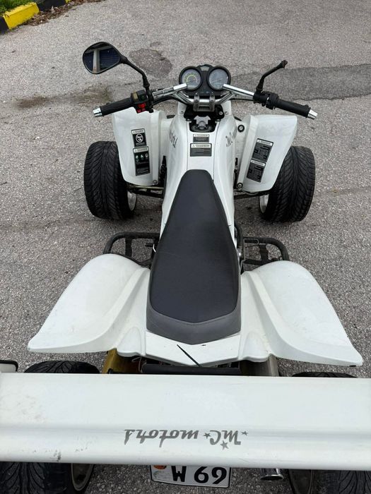 АТВ 250 mc motors