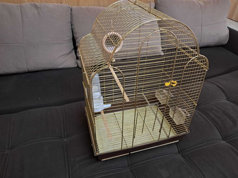 Клетка для попугая