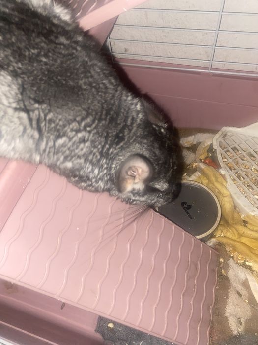 Обмер на айфон 13