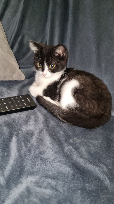 Малыш ищет мампап. Доставлю!