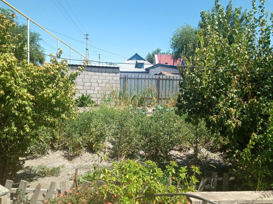 Продам дом в центре Уштобе