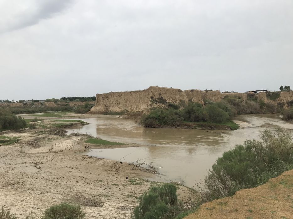 Продается отличный дом с участком