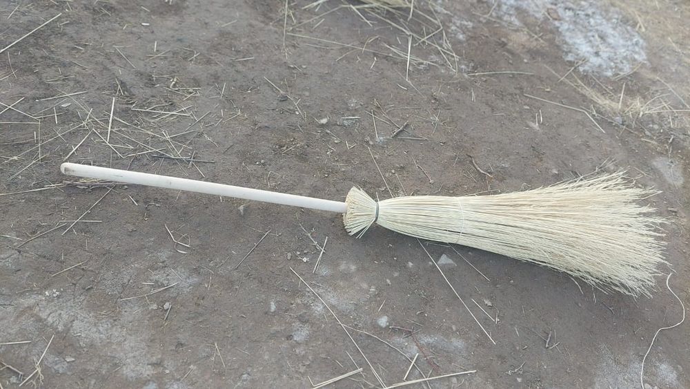 Метла чий (сорго)