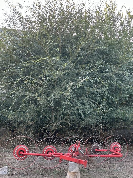 Беларусь MTZ80 00