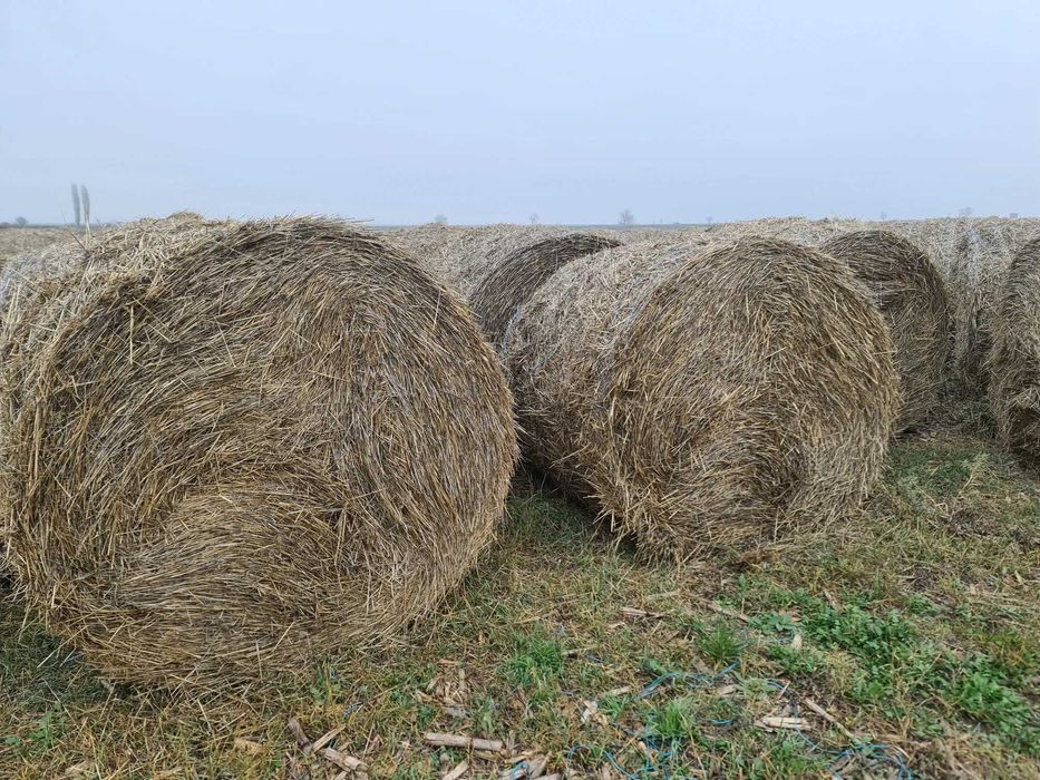 Baloti rotunzi paie cu fan