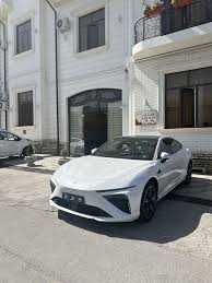 neta s  ev nasiya savdo