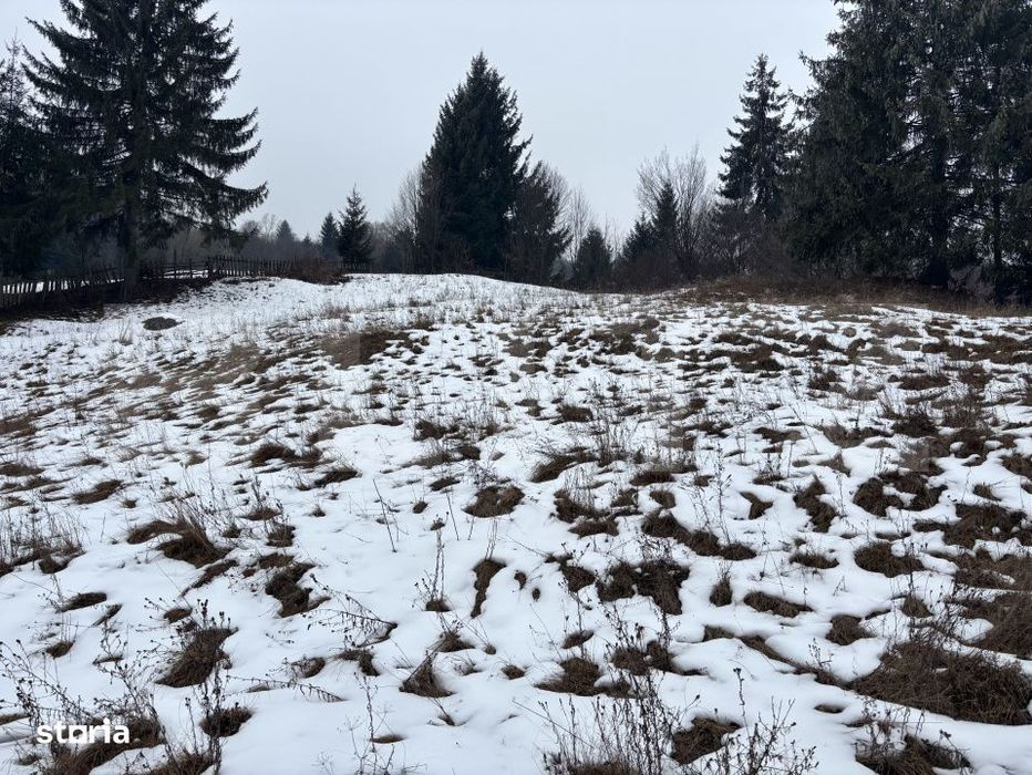 Teren in Vama, 13.050 mp, judetul Suceava, Bucovina, intravilan + extr