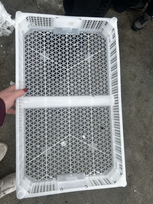 Ladite pentru depozitare fructe,aluat pizza